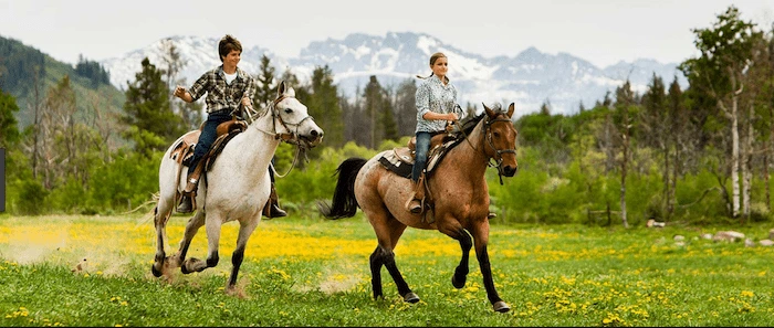 Confident plus-size woman riding Canvey Island a horse through a field with a smile on her face.